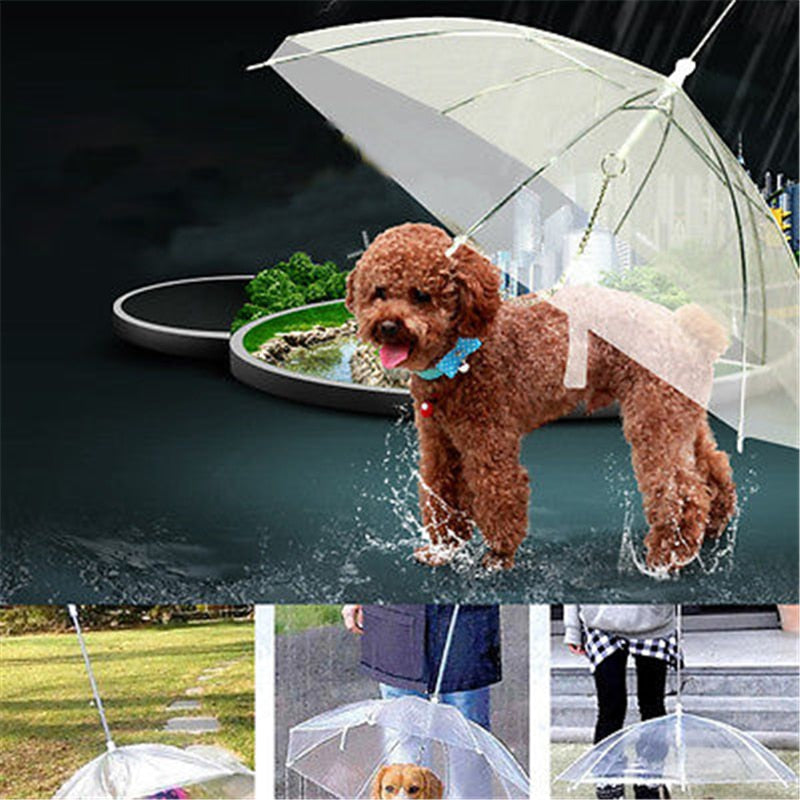 Dogbrella