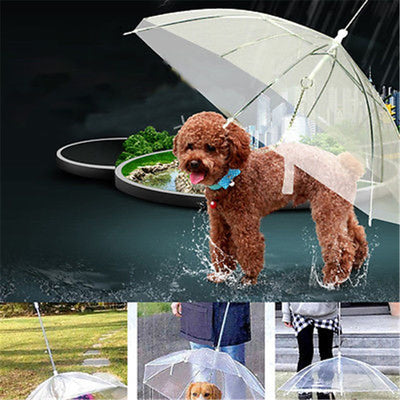 Dogbrella
